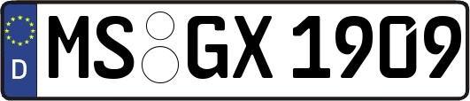 MS-GX1909
