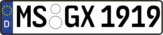 MS-GX1919
