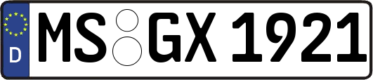 MS-GX1921