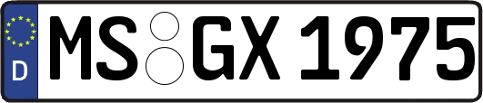 MS-GX1975