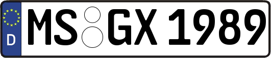MS-GX1989