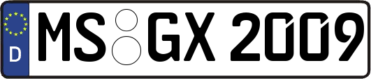 MS-GX2009