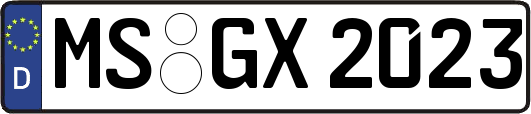 MS-GX2023