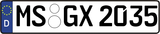 MS-GX2035