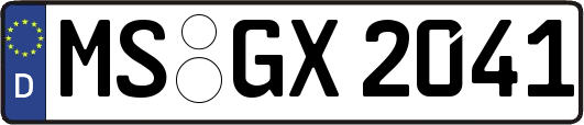 MS-GX2041