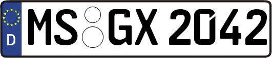 MS-GX2042