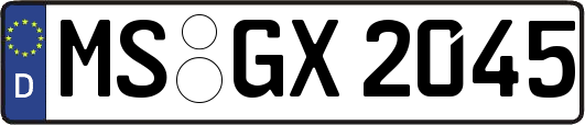 MS-GX2045
