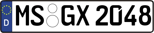 MS-GX2048