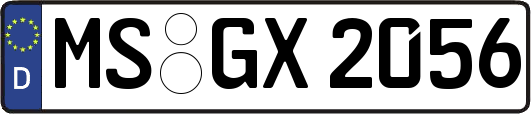 MS-GX2056