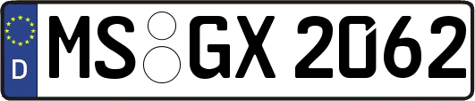 MS-GX2062