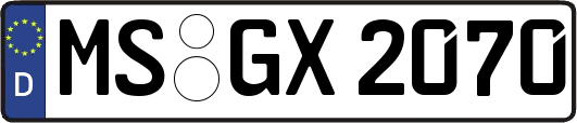 MS-GX2070