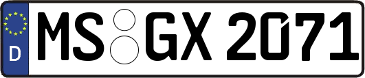 MS-GX2071