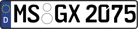 MS-GX2075
