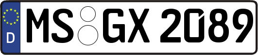 MS-GX2089