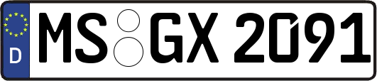 MS-GX2091