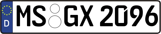 MS-GX2096