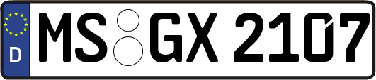 MS-GX2107
