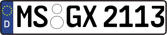 MS-GX2113