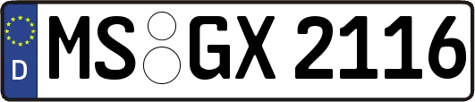 MS-GX2116