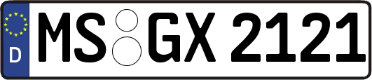 MS-GX2121
