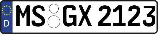 MS-GX2123