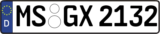 MS-GX2132