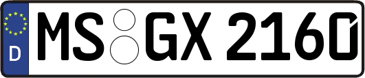 MS-GX2160