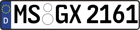 MS-GX2161