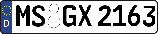 MS-GX2163