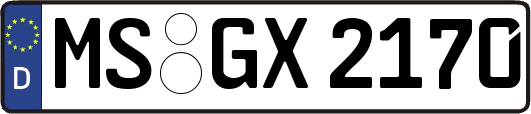 MS-GX2170