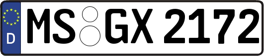 MS-GX2172