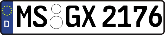 MS-GX2176