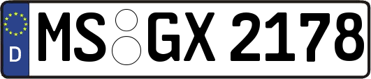 MS-GX2178