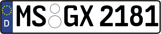 MS-GX2181