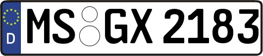 MS-GX2183