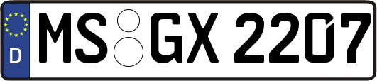 MS-GX2207
