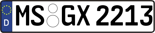 MS-GX2213