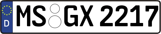 MS-GX2217