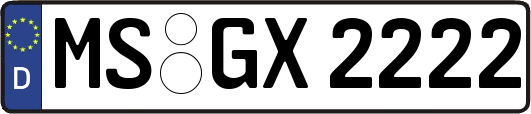 MS-GX2222