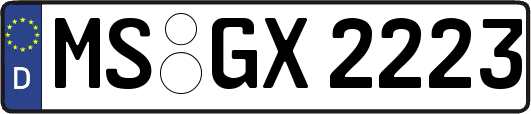 MS-GX2223