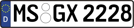 MS-GX2228
