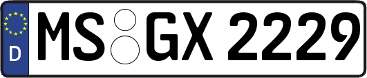 MS-GX2229