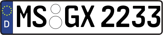 MS-GX2233