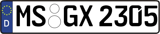 MS-GX2305