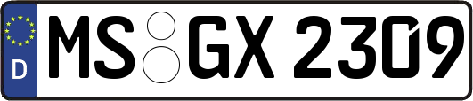 MS-GX2309