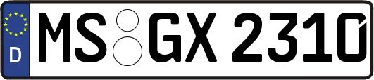 MS-GX2310