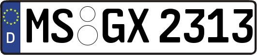 MS-GX2313