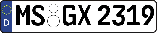 MS-GX2319