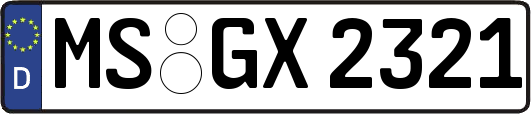 MS-GX2321