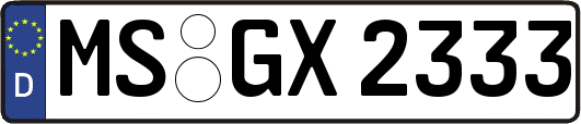 MS-GX2333